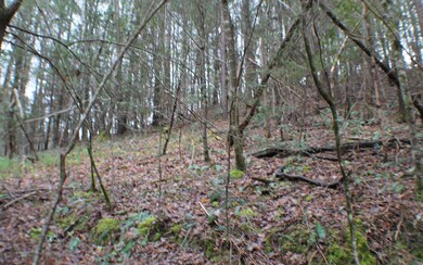 Additional View