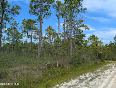 L-566&567 Holiday, Southport, NC 28461 - photo 3