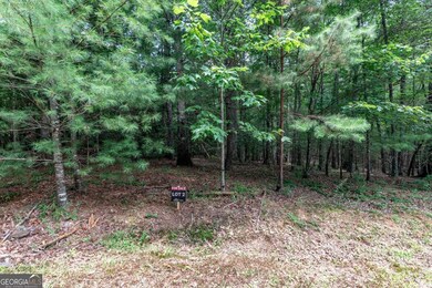 LOT 2 Rocking Chair Ridge, Mineral Bluff, GA 30559 - photo 3