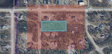 medora cross arial