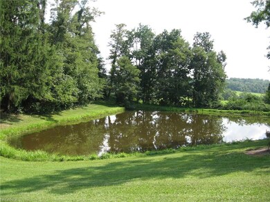 Another view of pond