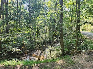 0 Mystic Mountain Blvd unit 24496664, Delray, WV 26714 - photo 6