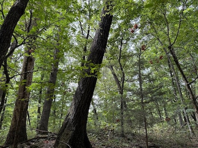 Tract 7 unit Terrapin Rd, Harrison, AR 72601 - photo 3