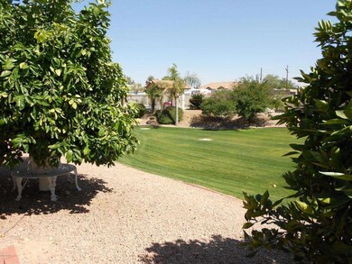 Green space view from patio