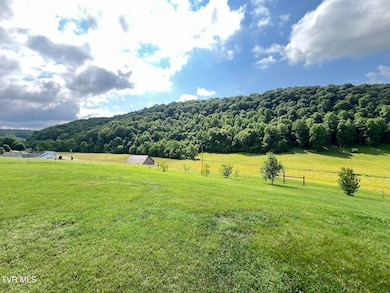 18525 Horton Hwy, Fall Branch, TN 37656 - photo 6