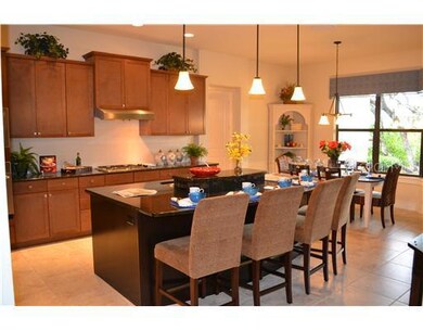 15908 Oakleaf Run Dr, Lithia, FL 33547 - photo 6