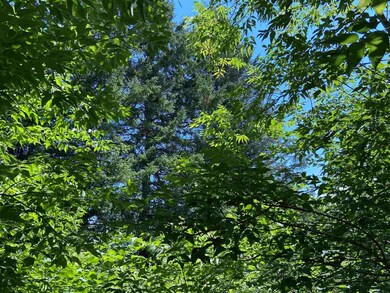 113 Speedwell Dr unit 5, Lyndonville, VT 05851 - photo 6