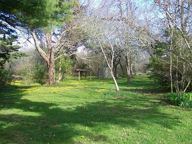Yard/Garden.