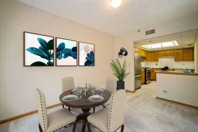 820 Graceland Ave unit 403, Des Plaines, IL 60016 - photo 7