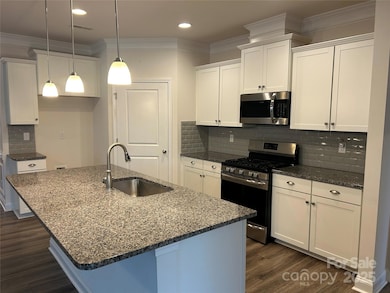 115 Cup Chase Dr unit 213, Mooresville, NC 28115 - photo 2