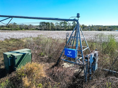 547 Joe Lawrence Rd, Ashburn, GA 31714 - photo 4