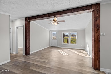 120 Hensley Loop, Jonesborough, TN 37659 - photo 5