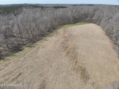 DJI_20250303112957_0002_V