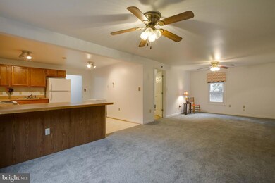 38 Gore Rd, Castleton, VA 22716 - photo 7