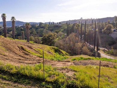 31657 Ritson Rd, Escondido, CA 92026 - photo 6