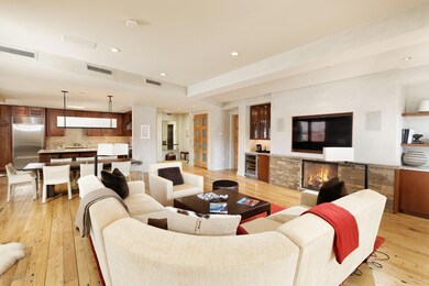 102 Founders Place unit 301, Aspen, CO 81611 - photo 5