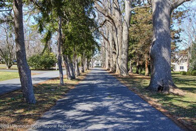 Tulip Tree Ln