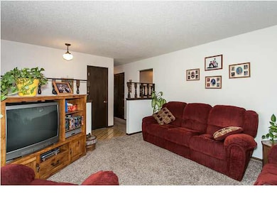 Nice-Sized Living Room Can Accomodate a Lot of Fur