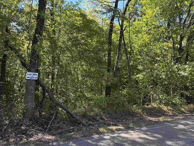 0 Bethuel Rd unit Lot 7, Unincorporated, TN 38053 - photo 3