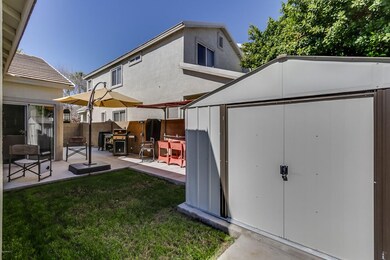 Low Maintenance Back Yard