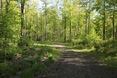 0 Konsella Rd, Gilman, WI 54433 - photo 2