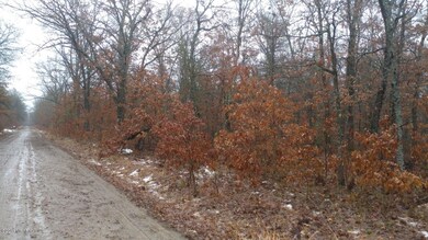 PAR 12 8th St, Baldwin, MI 49304 - photo 2