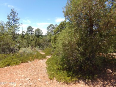 4750 S Manzanita Way, Show Low, AZ 85901 - photo 6