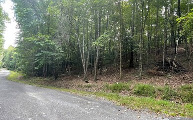 Additional View