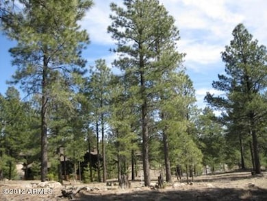Lot 65