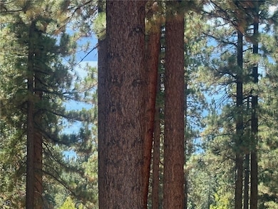 577 Fallen Leaf Way, Incline Village, NV 89451 - photo 4