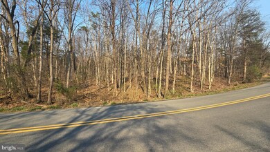 0 Hudson Hollow Rd, Stephens City, VA 22655 - photo 3