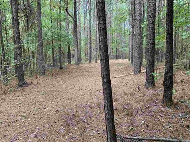 001 Pilgrim Rest Dr, Brandon, MS 39042 - photo 6