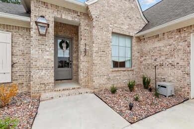 137 Herons Bay Cir, Madison, MS 39110 - photo 5