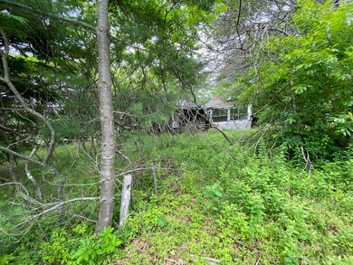 View from Road