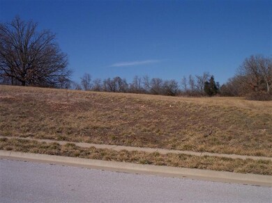 0 E Daisy Falls Dr unit 11302000, Nixa, MO 65714 - photo 6