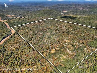 000 Cr D-325, Eminence, MO 65466 - photo 4