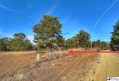 Lot 11 Zachary Ct, Latta, SC 29565 - photo 2