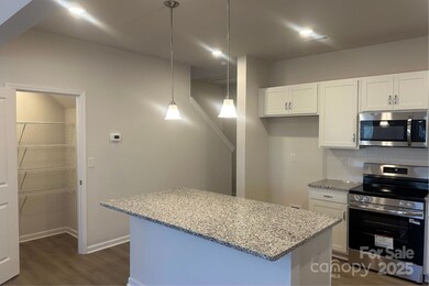 6009 Jasmine Branch Rd, Charlotte, NC 28216 - photo 5