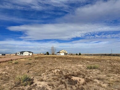 1574 Heather Place, Pueblo West, CO 81007 - photo 4