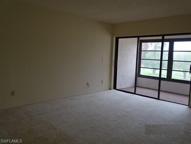 3625 Boca Ciega Dr unit 307, Naples, FL 34112 - photo 5
