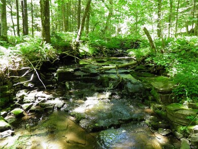 Tributary to Fish Creek