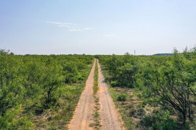 262.71 Acres unit FM 1191, Jermyn, TX 76459 - photo 5