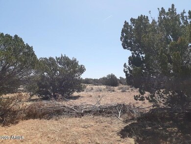 SW 10 Acre 17xx Buffington Hill Rd, Heber, AZ 85928 - photo 4