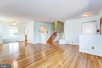 10213 Conover Dr, Silver Spring, MD 20902 - photo 3