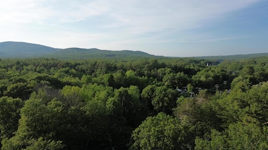 46-2 & 47 New Hampshire 153, Union, NH 03887 - photo 6