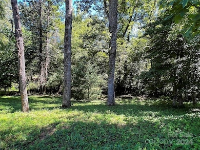 19 Mountain Orchid Way unit 77, Arden, NC 28704 - photo 7