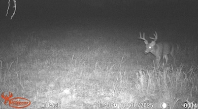 370 Tavern Creek Rd, Iberia, MO 65486 - photo 6