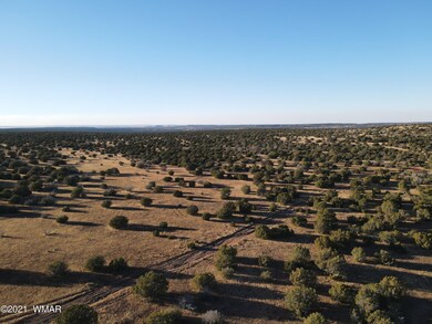 DJI_0365