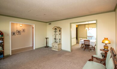 8704 Michael Ray Dr, Louisville, KY 40219 - photo 7