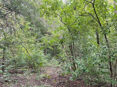 1351 N Sheridan Rd, Lake Forest, IL 60045 - photo 7